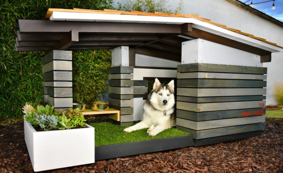 Собачья конура будка