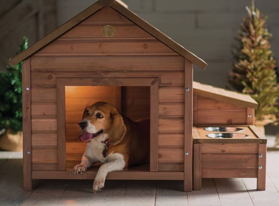 Красивые домики для собак