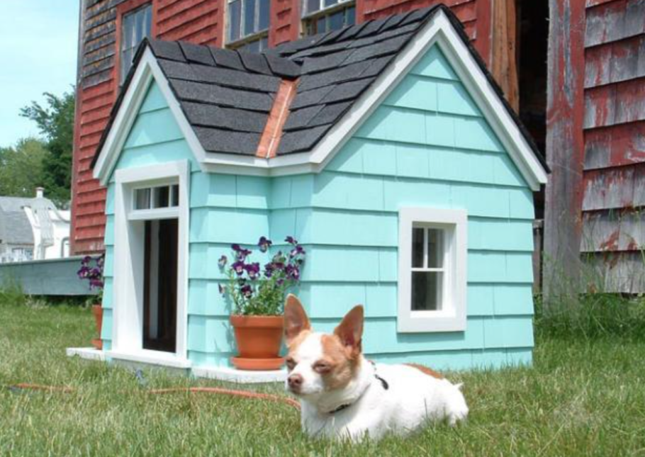 Необычная конура для собаки