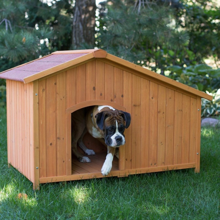 Собачья конура будка