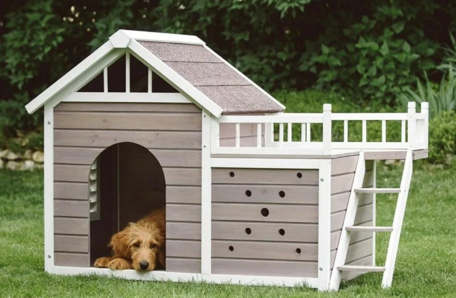 Маленькая будка для собаки