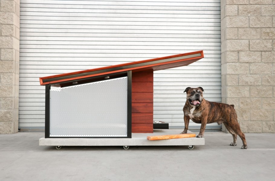 Дизайнерская будка для собачки.