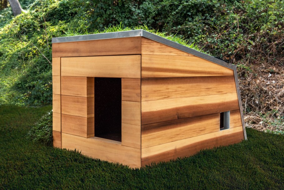 Современные будки для собак