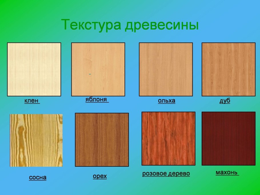 Деревья разных пород