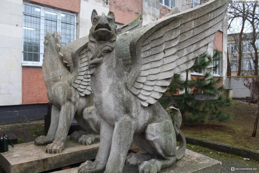 Грифон лапидарий