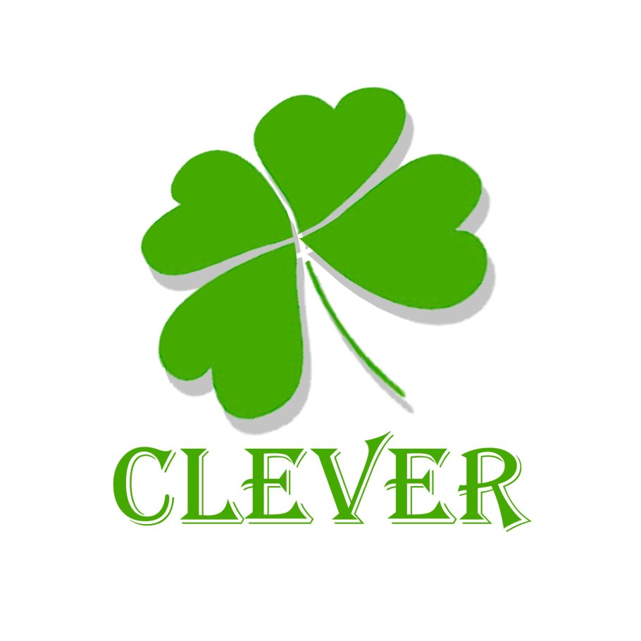 Компания Clever