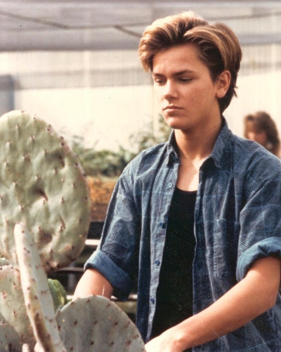 Ривер Феникс на гребне волны