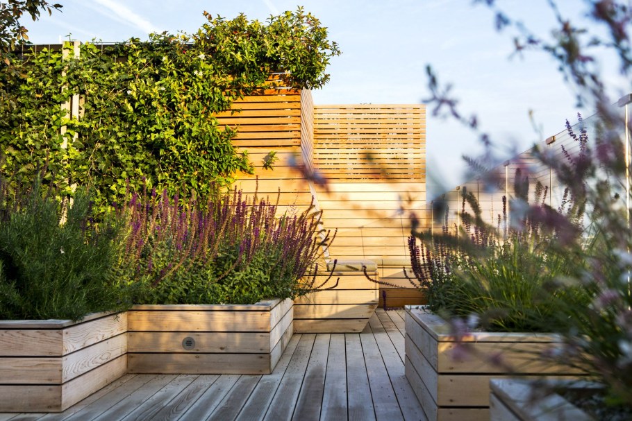 Озеленение террасы