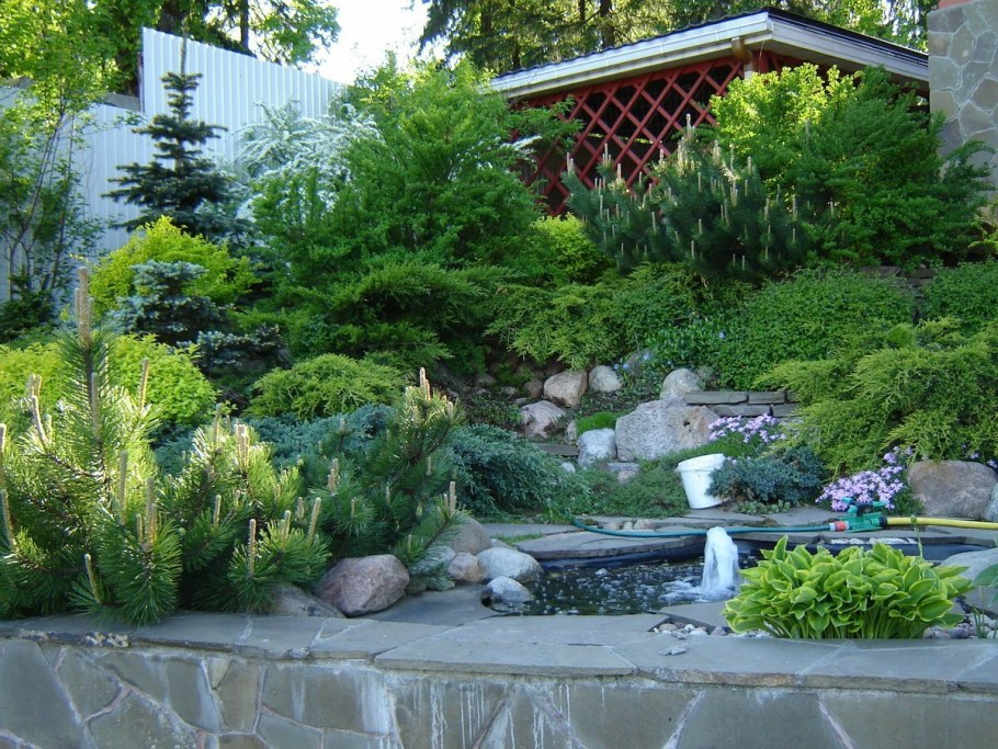 Ландшафт Хоста можжевельник горка