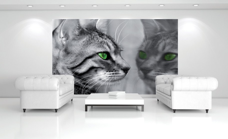 Фотообои кошки
