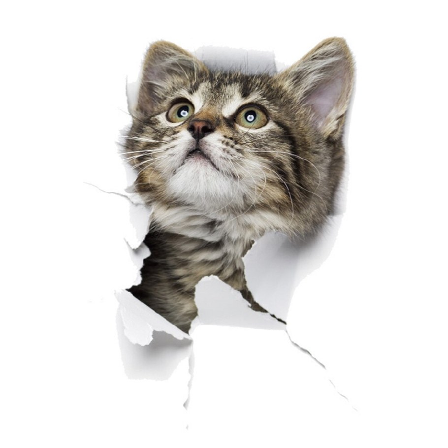 Наклейки на стену котики