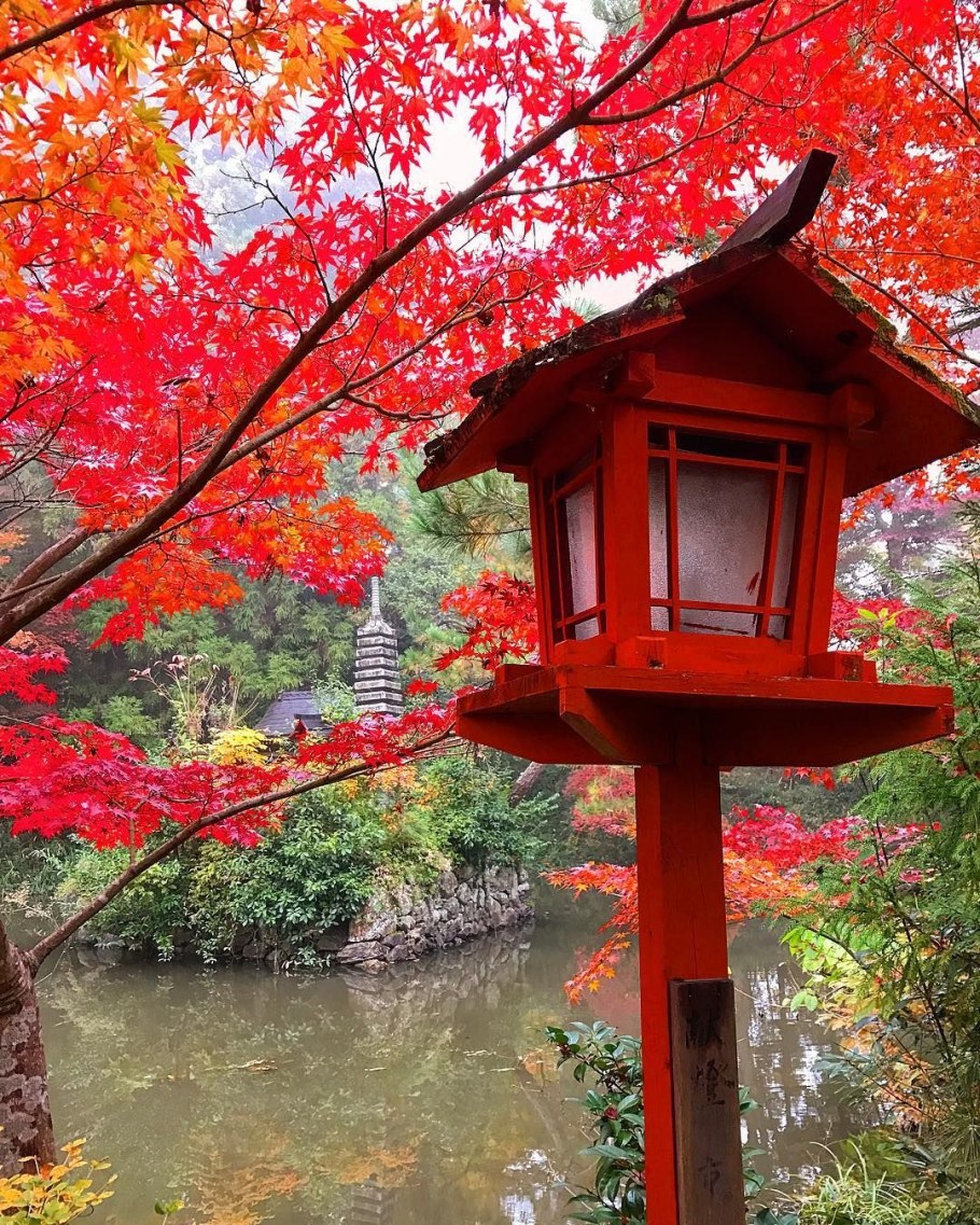 Японские фонарики