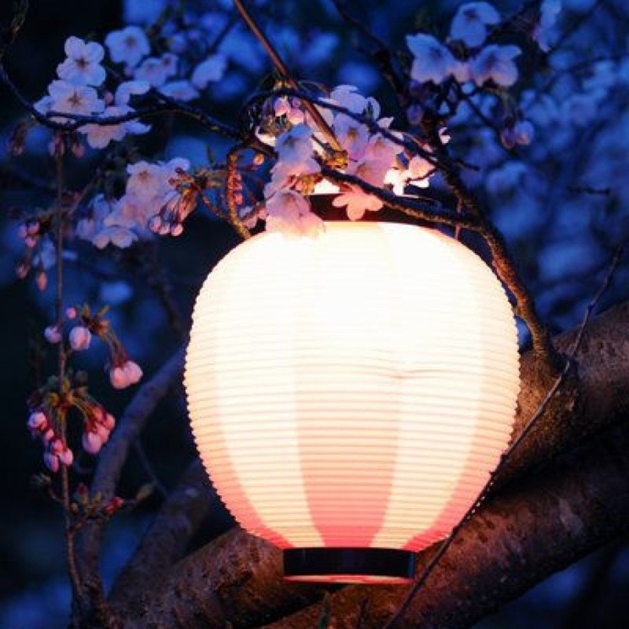 Японский фонарь тётин