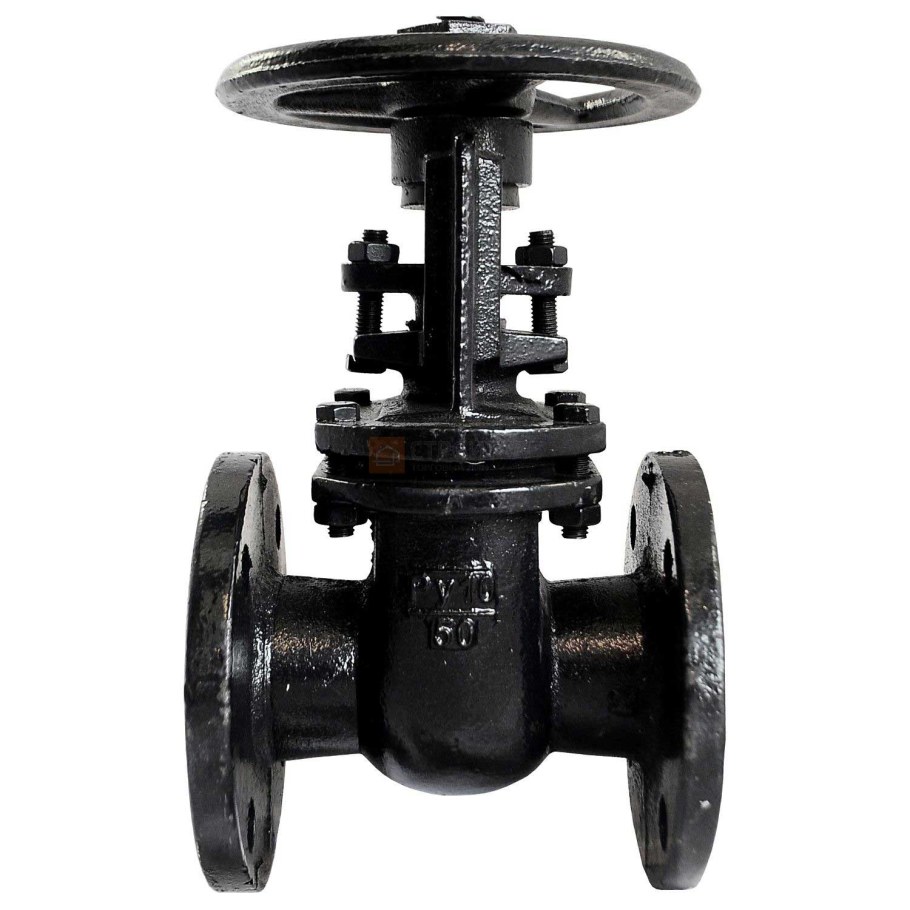 Задвижка 30ч6бр ду100