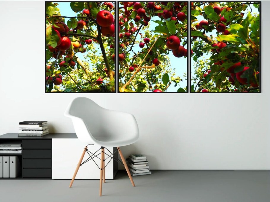 Цвет дикой вишни в интерьере