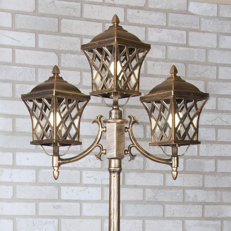 Cassiopeya f/3 черное золото