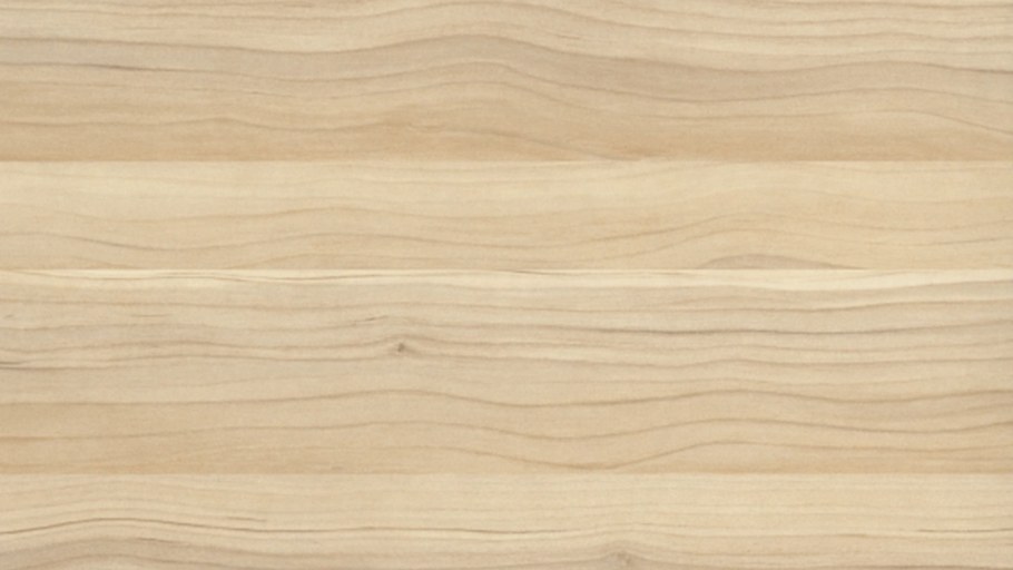 Текстура дерева