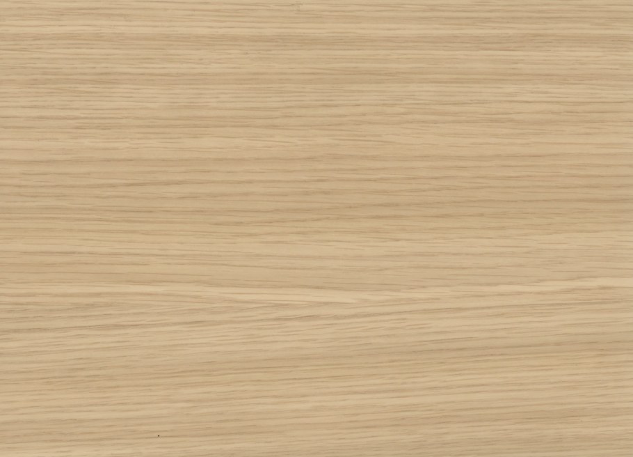 H3157 дуб Винченца