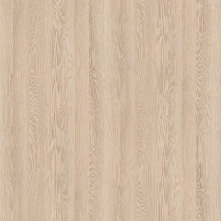 H1277 st9 Акация лэйклэнд светлая