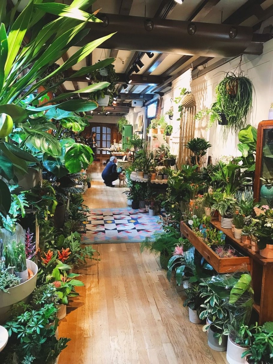 Тропический сад в доме