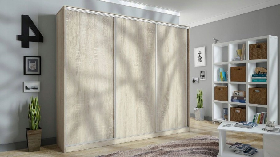 Шкаф купе Фостер 3