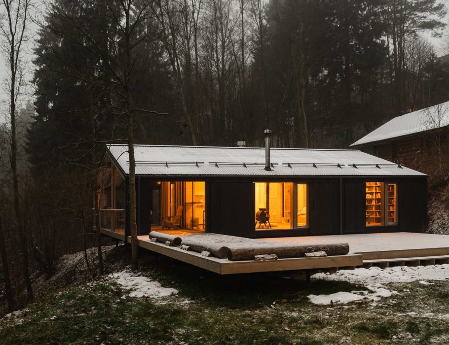 ДУБЛЬДОМ кедр 65