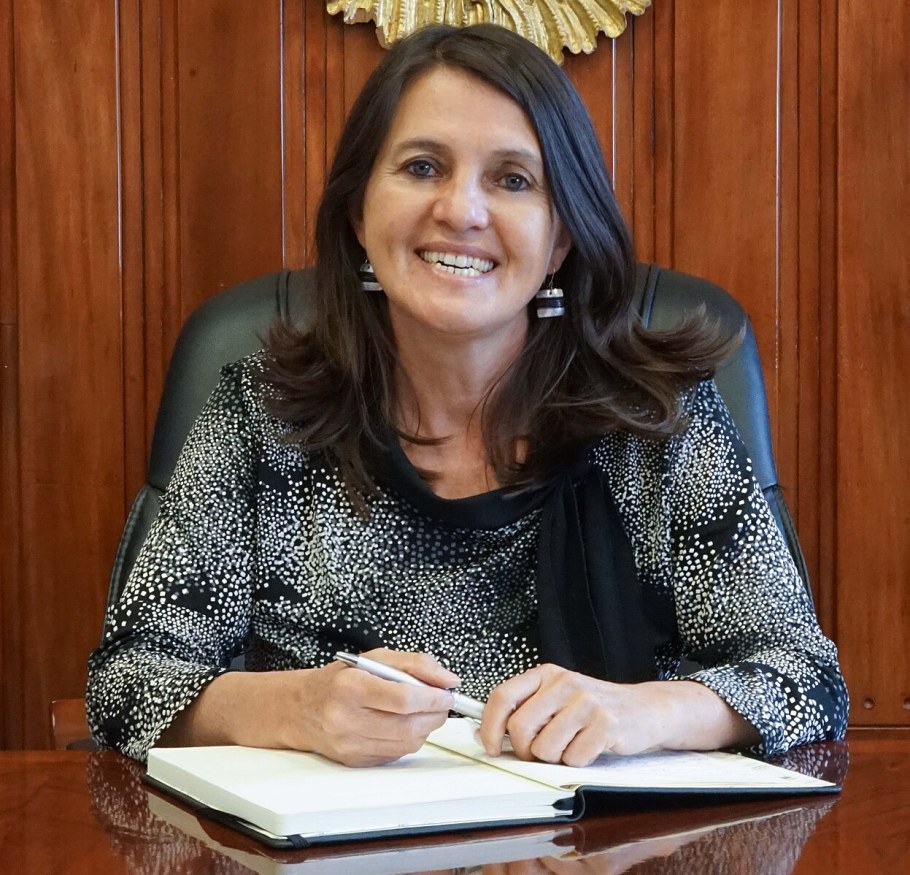 Ана Мария Эрмида