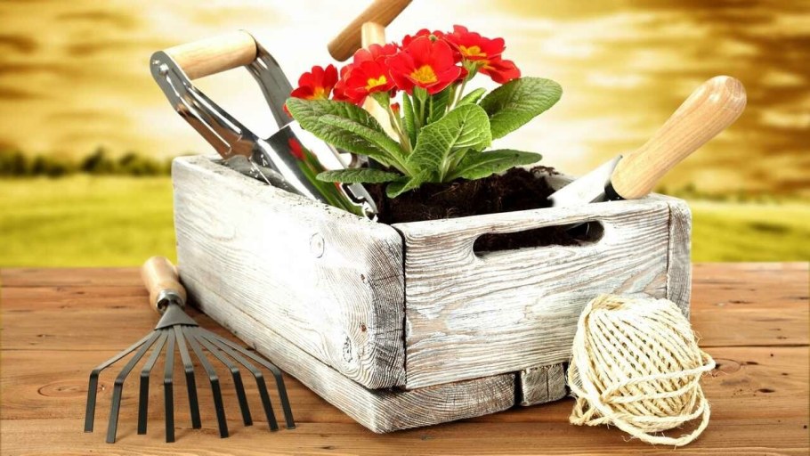 Натюрморт с садовыми инструментами