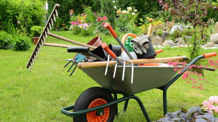 Осенний садовый инвентарь