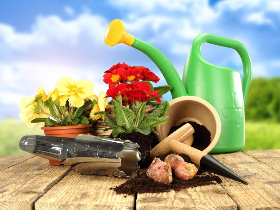 Товары для сада и огорода