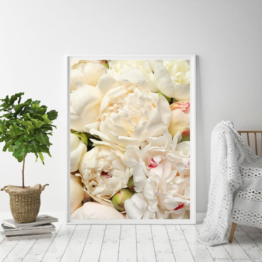 Постер белые пионы