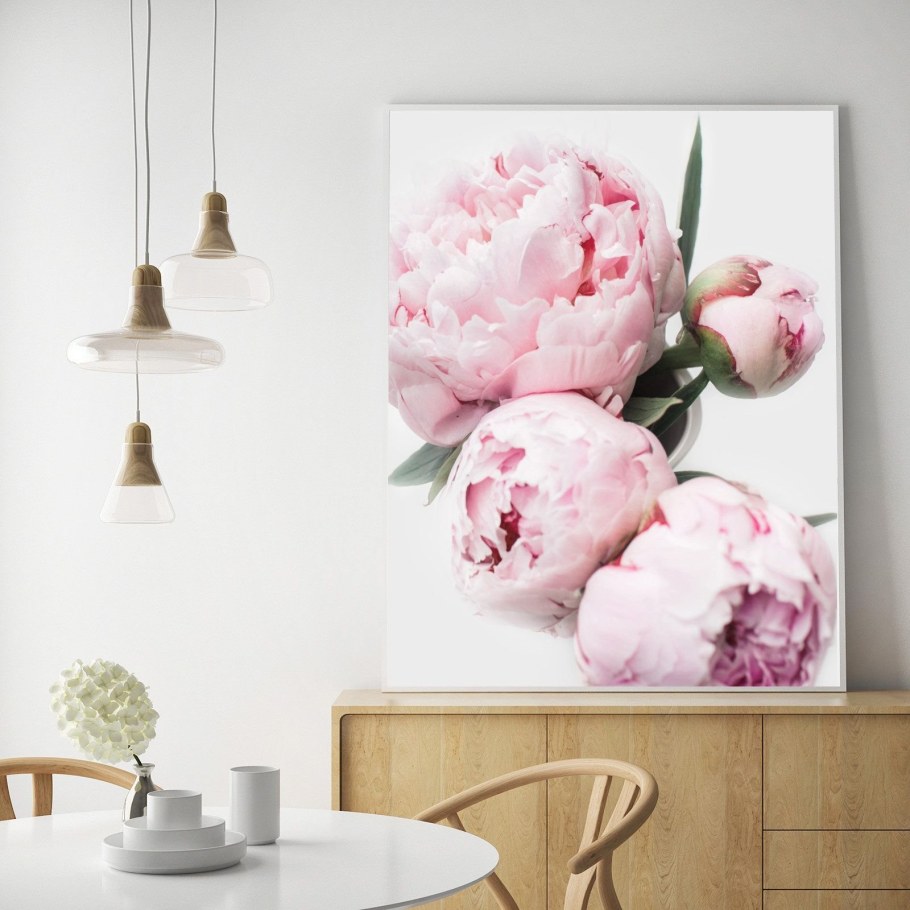 Постер пионы на стену