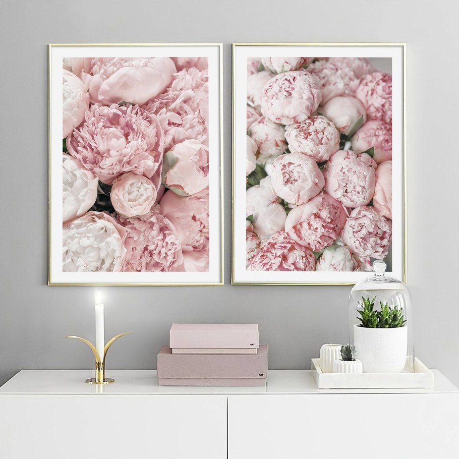 Постер "пионы"