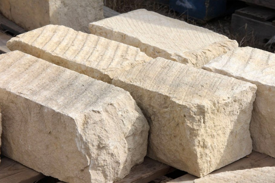 Пилобут Пелагиадский