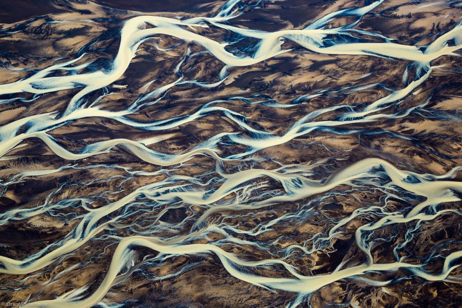 Natural form abstract