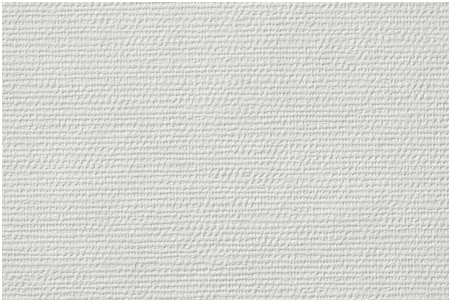 Erfurt Vliesfaser 701