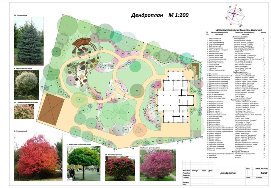 Дендро план приусадебного участка