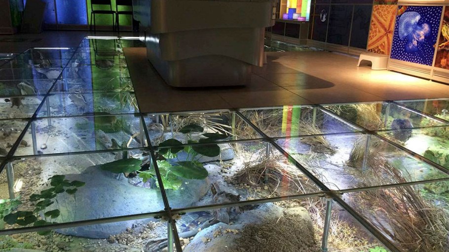 Стеклянный пол с подсветкой