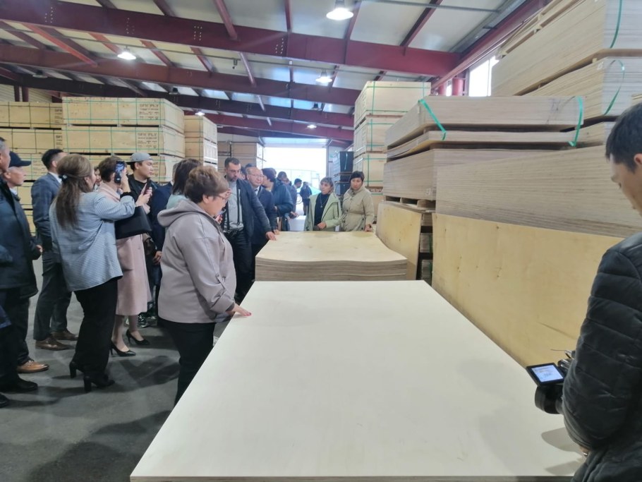 Запустили завод