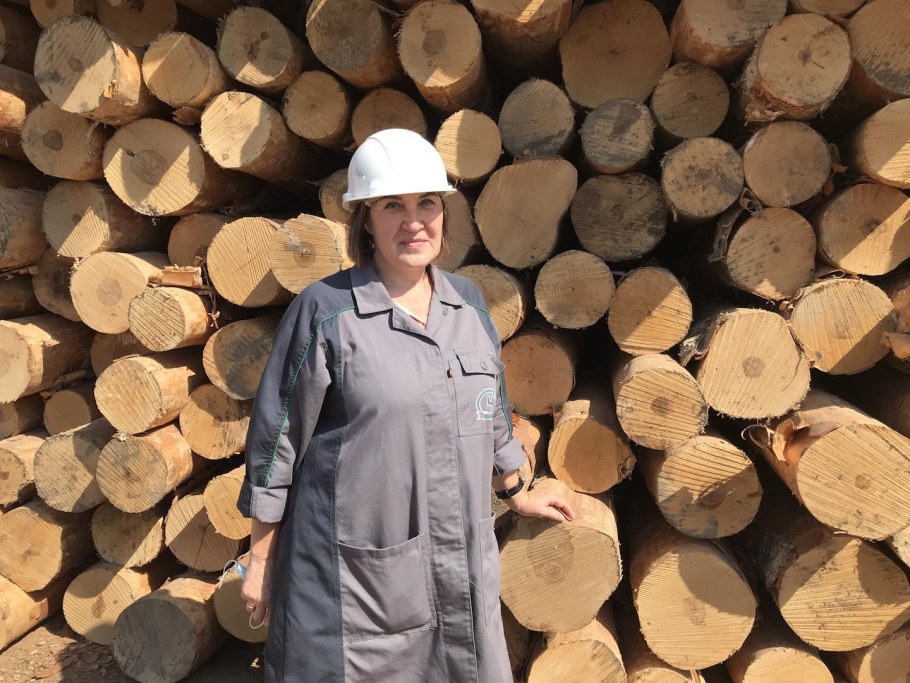 Производство фанеры