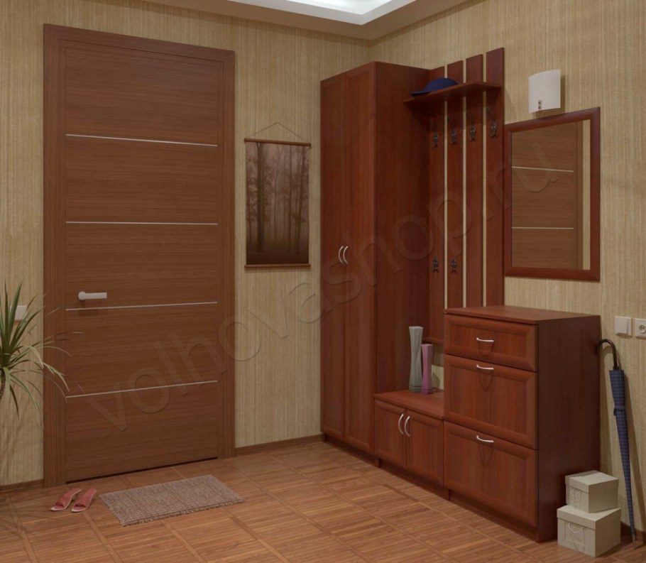 Прихожая Волхова с 5031 BMS