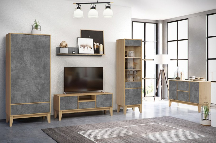 Распашной шкаф Гритон-2 Dark