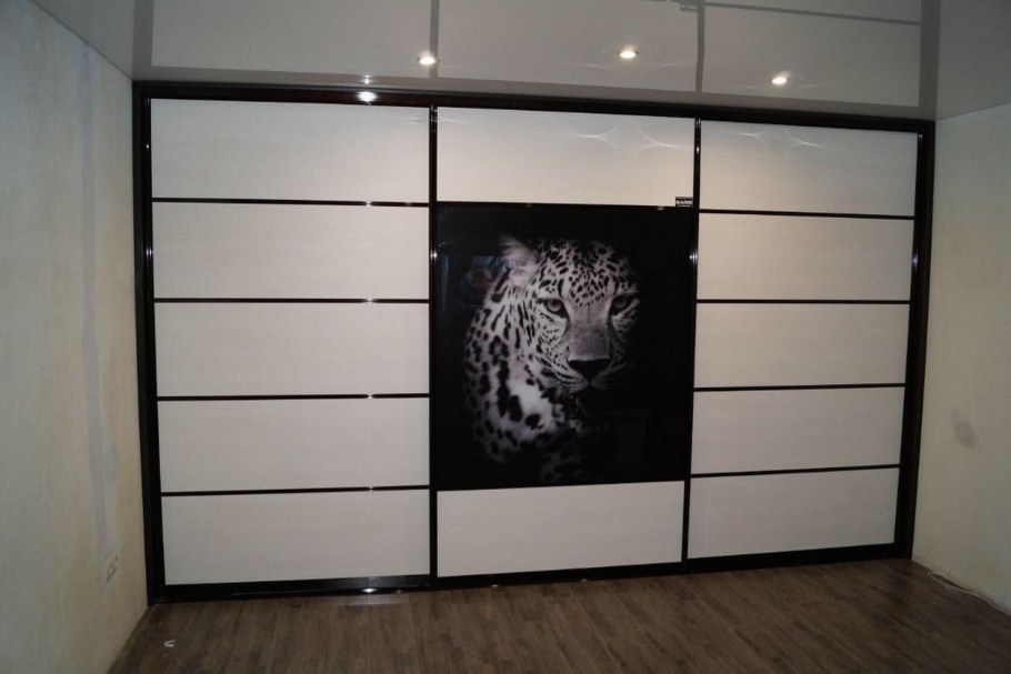 Шкаф купе с оракалом темным