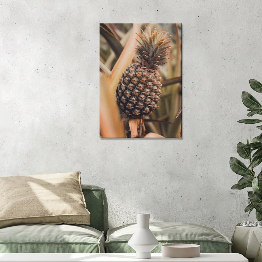 Кокос в интерьере