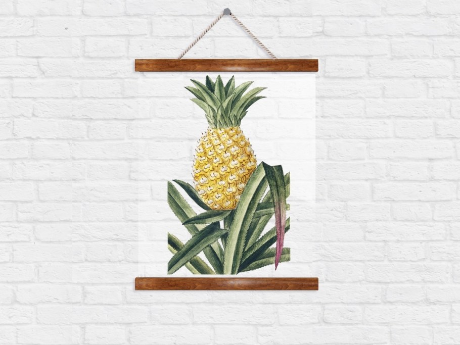 Постер ананас 50х70 см.