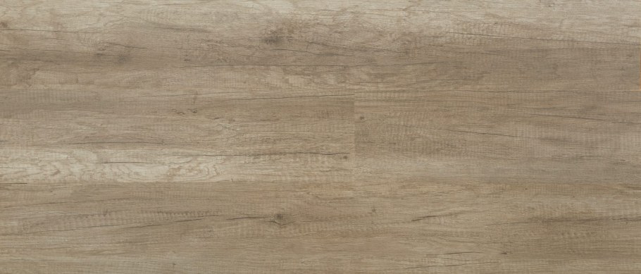 Ritter дуб феррара каньон