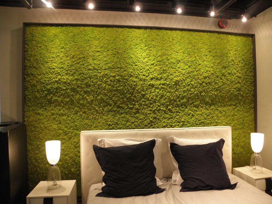 Фитостена ягель