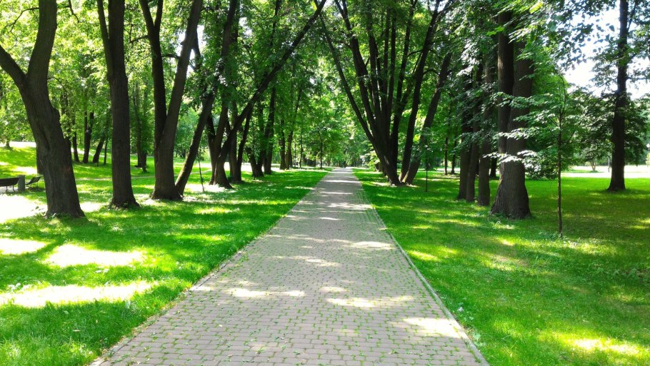 Парк сад будущего