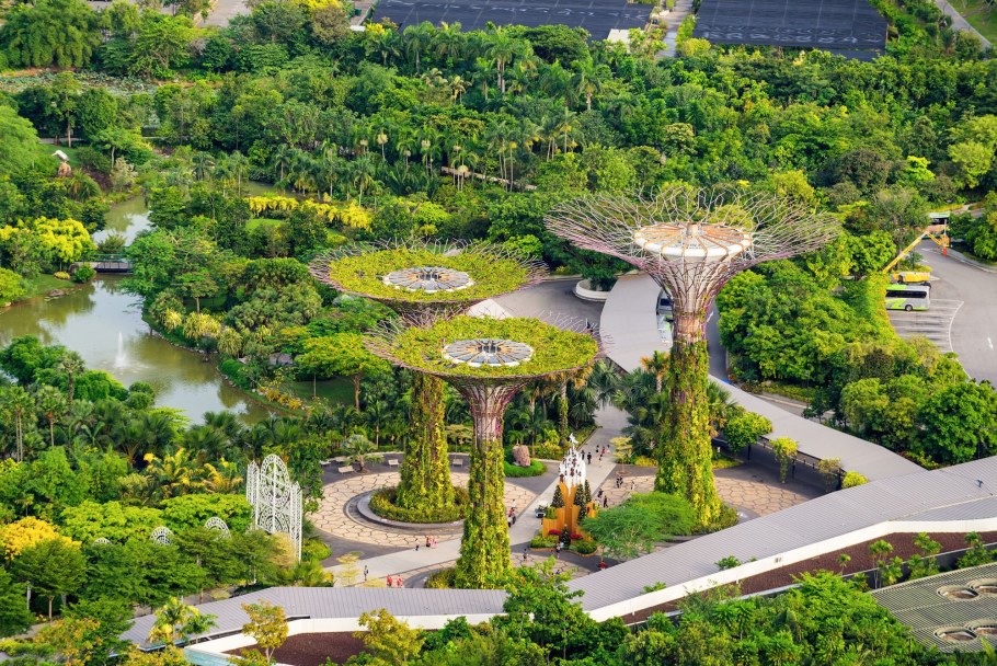Gardens by the Bay Сингапур