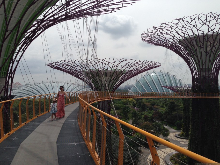 Сад будущего Ботанический сад Москва